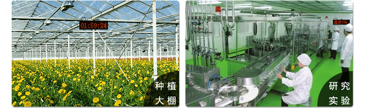 溫濕度點(diǎn)陣時(shí)間屏應(yīng)用場(chǎng)景 溫濕度點(diǎn)陣時(shí)間屏應(yīng)用場(chǎng)景